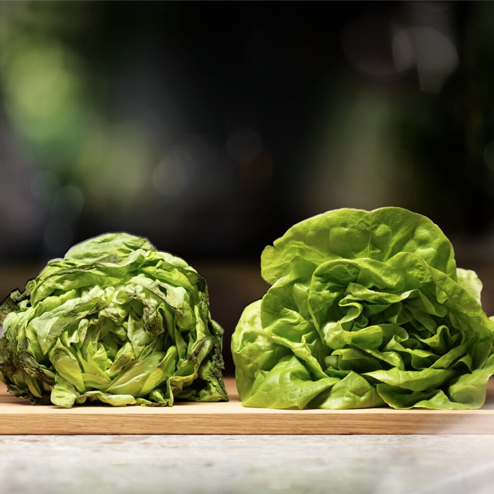 Salata Salata